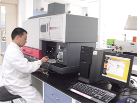 xfz04.jpg